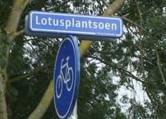 Lotusplantsoen krijgt een Tiny Forest