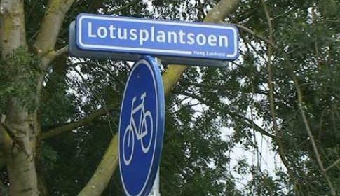 Lotusplantsoen krijgt een Tiny Forest