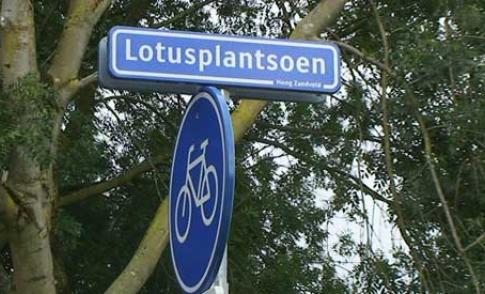 Lotusplantsoen krijgt een Tiny Forest