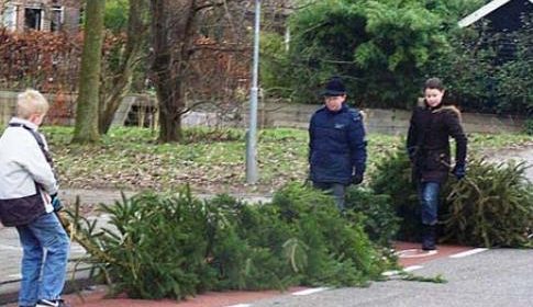 Ophalen van kerstbomen in Nieuwegein