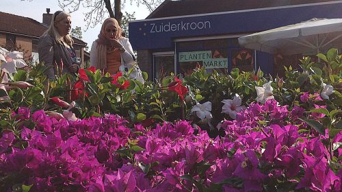 Geslaagde plantenmarkt op De Zuiderkroon