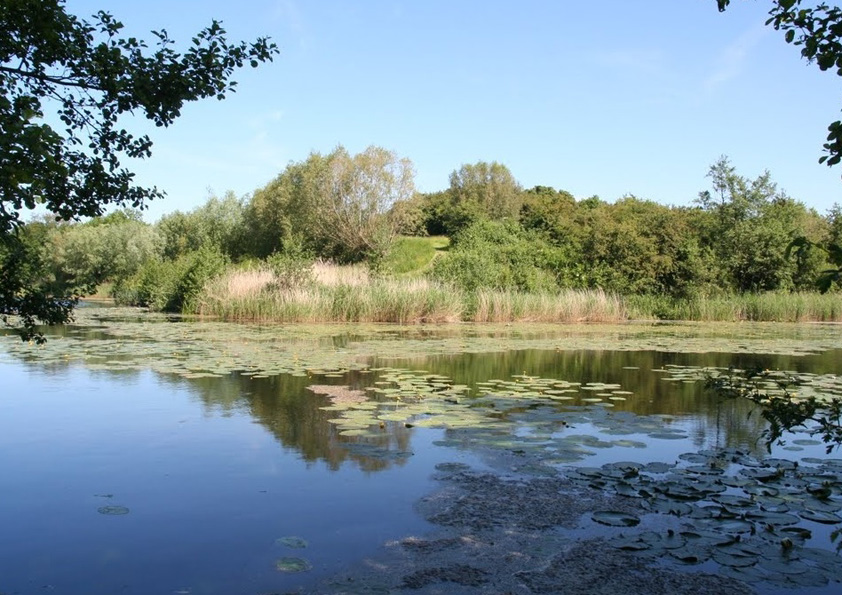 IVNwandeling 'Dood weermiddel, levende natuur, Houten ’ De Digitale