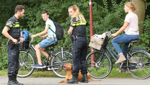 Politie Nieuwegein in de weer met loslopende hond