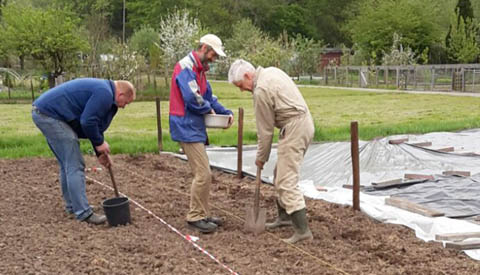 Aardappelen voor de Voedselbank