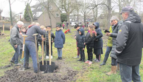 Kinderen planten op Boomfeestdag nieuwe perenboomgaard