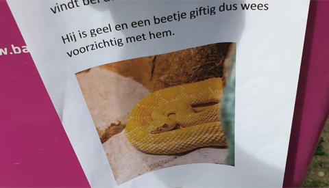 Giftige slang ontsnapt in Hoog Zandveld
