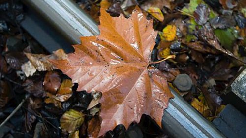 Regiotram Utrecht gaat komende nacht bladeren verwijderen op de trambaan