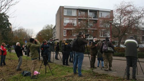 Cursus ‘Vogels herkennen’