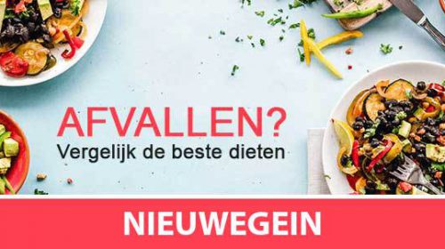53% van de Nieuwegeiners kampt met overgewicht!
