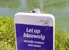 Blauwalg langs het Meikeverpad, de Vosseweide en Reinesteijnseweg