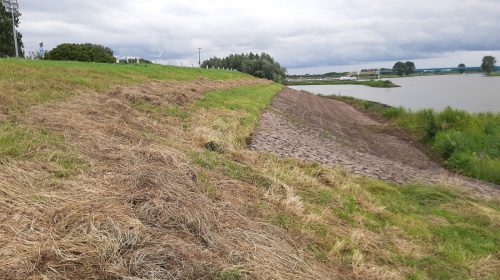 Veel vragen over verdwijnen bloemen op de Lekdijk bij Vreeswijk