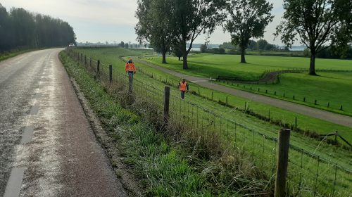 Waterschapsmedewerkers inspecteren 55 kilometer Lekdijk te voet
