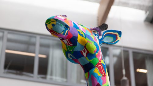 Kleurrijke giraffe in o.a. St. Antonius Ziekenhuis Nieuwegein