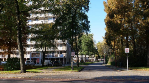 Bezorger overvallen aan het Nijpelsplantsoen in Nieuwegein