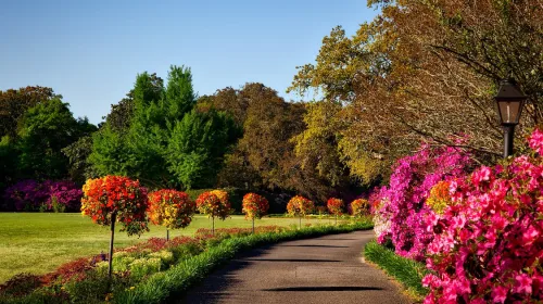 Zo geniet je het hele jaar door van je tuin