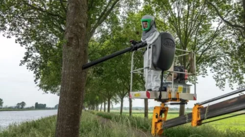 Rijkswaterstaat bestrijdt eikenprocessierups langs Amsterdam-Rijnkanaal met nestkastjes en opzuigen