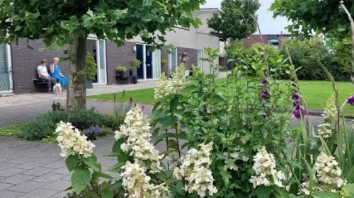 Van grijs naar groen op de Bruninghove