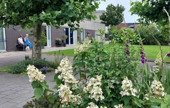 Van grijs naar groen op de Bruninghove