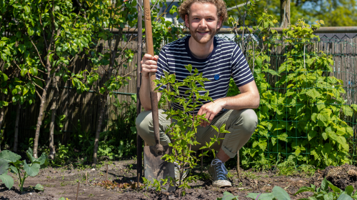 Gemeente Nieuwegein en Plan Boom delen gratis fruitboompjes uit!