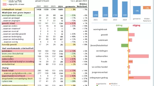 Veiligheidsbeeld Nieuwegein over het eerste half jaar van 2024