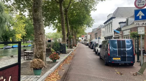 Bomen aan de Dorpsstraat in Vreeswijk worden toch gekapt!