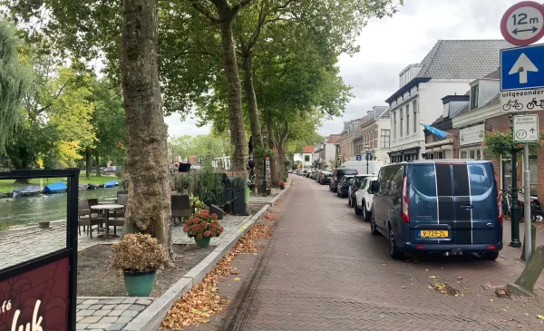 Bomen aan de Dorpsstraat in Vreeswijk worden toch gekapt!