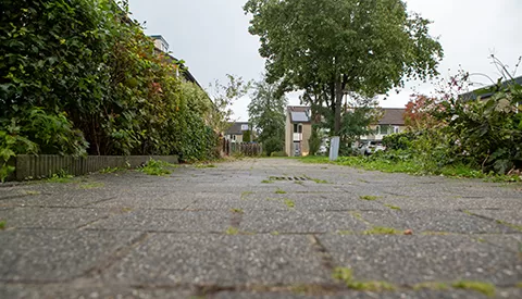 ‘De Ravelstraat’