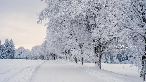 Bezoek deze Europese steden in de winter