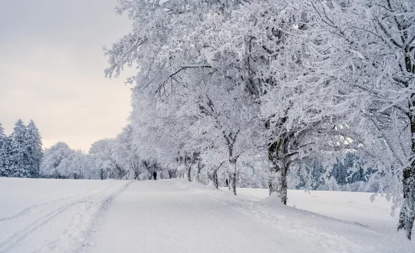 Bezoek deze Europese steden in de winter