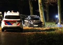 Auto tegen boom Parkhout