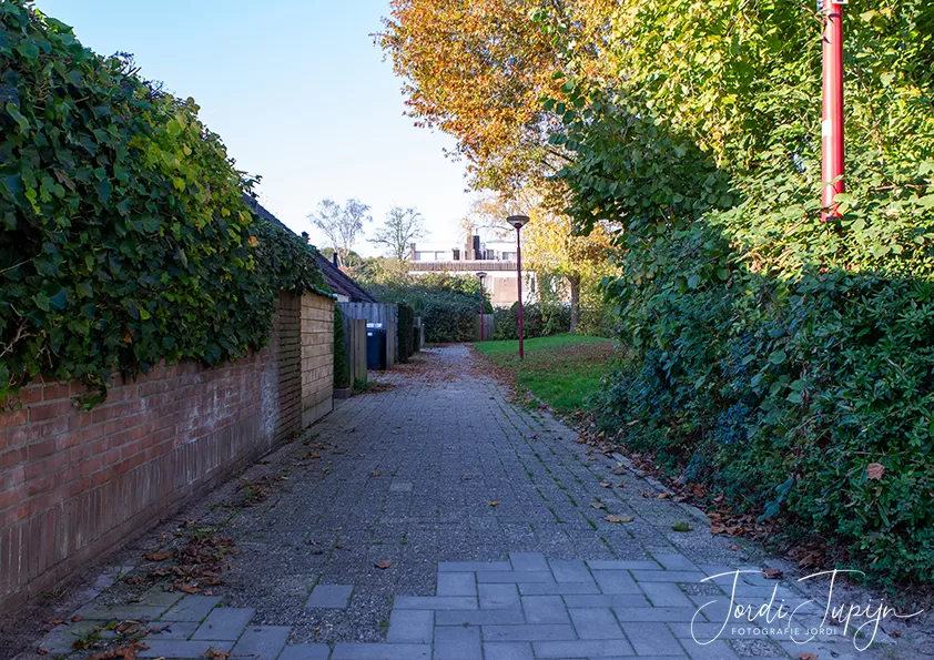 De Reeweide in Nieuwegein