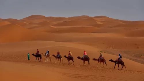 Efficiënt zakelijke reizen organiseren: tips voor een soepel verloop