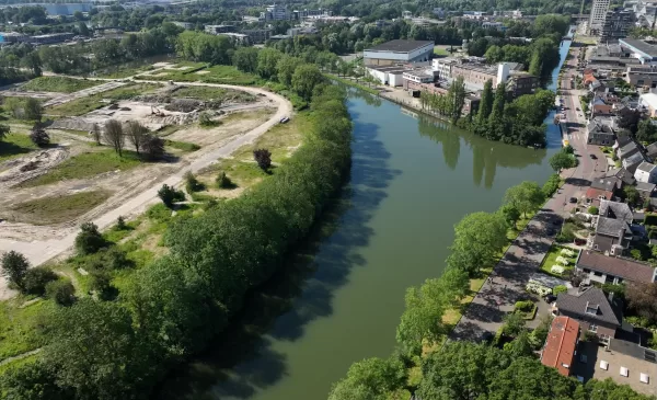 Nieuwe, gezonde bomen in Rijnhuizen langs het Merwedekanaal