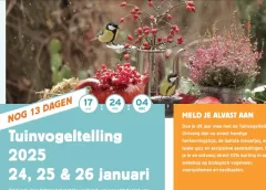 Bereid je voor op Nationale Vogelteldag bij de Bibliotheek Nieuwegein