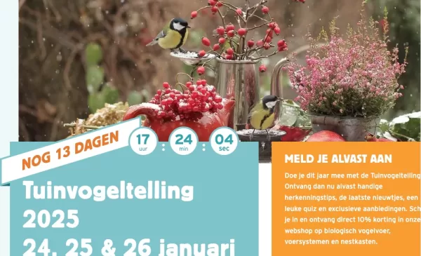 Bereid je voor op Nationale Vogelteldag bij de Bibliotheek Nieuwegein